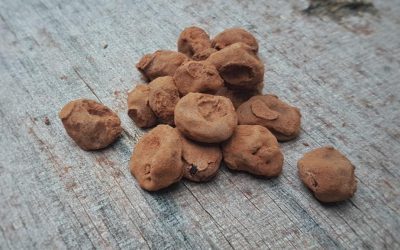 חמוציות שוקולד מריר